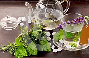 Herbs tisane and mint tea cup still life