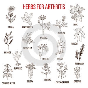 Herbs to fight arthritis boswellia, willow, celery, ginger, arnica, wintergreen, andelica, alfalfa, hop, licorice