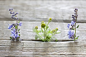 Herbs on vintage planks aromatherapy background