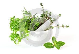 Herbs whith mortar and pestle photo