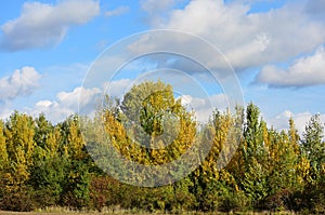 Herbst Wald blauer himmel a Wolken österreich 