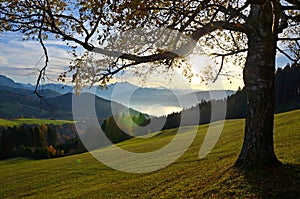 Herbst Stimmung a Sonnenuntergang auf der österreich Europa 