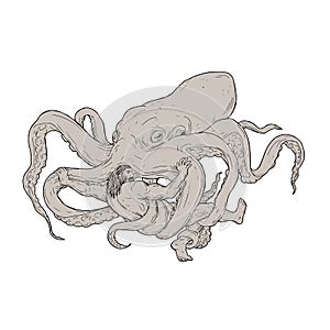 Hercules Fighting Giant Octopus Drawing