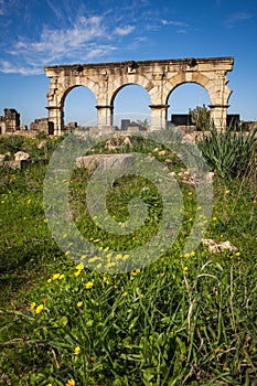 Hercules Works House, Volubilis