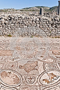 Hercules Works House at Volubilis, Morocco