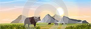 A herd of African black buffalo in the savannah. Mountains on the horizon. Realistic vector landscape. Nature and animals of Afric