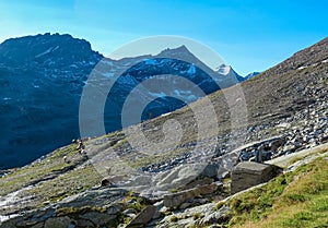 Herd of alpine sheep with panoramic view of majestic mountain peaks of High Tauern mountain range, Carinthia, Salzburg,