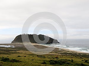 Herd of cattle at Big Sur along National Highway 1 coastline, Point Sur State Historic Park, CA, USA