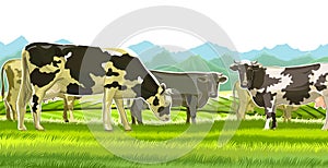A herd of cows grazes among the rural hills. Pastures. Meadows and fields. Rustic village landscape. Farm work. Isolated