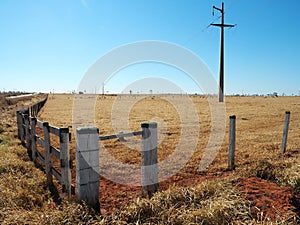 Herd of cows grazing on the pasture in a field surrounded by a wooden fence