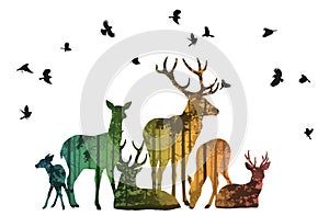 Herd of deer with birds