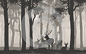 Herd of deer photo