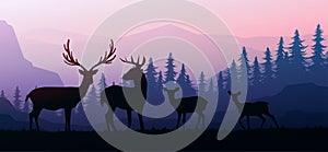 Herd of deer in the natural forest. Wild animals. Mountains horizon hills silhouettes of trees. Evening Sunrise and sunset.