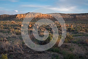 Herd of Elk, Chaco Canyon National Park