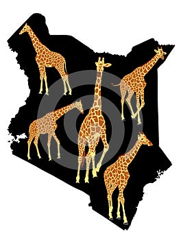 Herd of giraffe over Kenya map vector silhouette illustration isolated on white background.