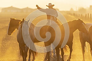 A Herd Of Horse Are Being Corralled By Mexican Horsemen At Sunrise