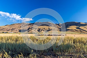 A herd of horses with the drovers on horseback in the steppes of Kazakhstan