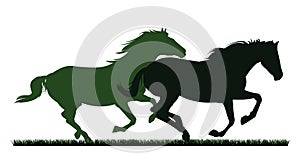 Herd of horses gallops fast. Image silhouette. Wild and domestic animals. Isolated on white background. Vector