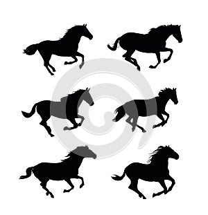 Herd of horses gallops fast. Set of objects. Image silhouette. Wild and domestic animals. Isolated on white background