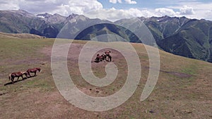 A herd of horses in mountains near a watering hole