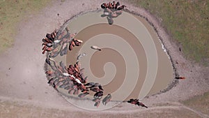 A herd of horses in mountains near a watering hole