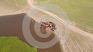 Herd of horses near a beautiful mountain lake