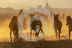 A Herd Of Horse Are Being Corralled By Mexican Horsemen At Sunrise