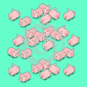 Herd pigs. Pig Farm animal. Vector illustration