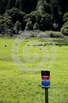Herd of roosevelt elk cows with no trespass sign photo