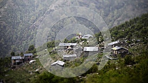 Herd walking between houses of local village in mountain