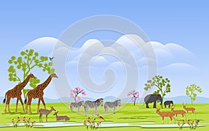 Herd of wild animals In the green grass field There are mountains and clusters in the background photo