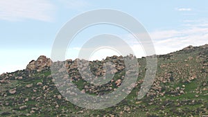 Herd of Wild Deer on Rocky Mountain Ridge