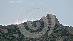 Herd of Wild Deer on Rocky Mountain Ridge