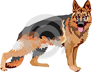 Herder Dog Mammal Animal Vector Illustration