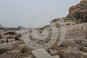 Herding goats in Hampi, India