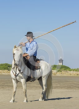 Herdsman on the beach