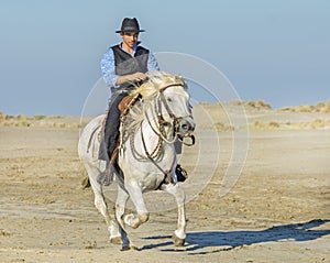 Herdsman on the beach