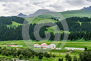 The herdsman buildings and forest in summer Tangbula alpine steppe