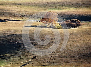 A herdsman of horse in autumn prairie