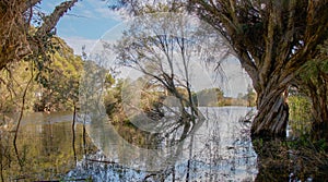 Herdsman Lake photo