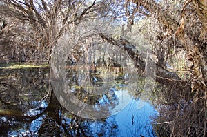 Herdsman Lake Landscape photo