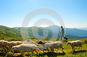 Herdsman in the mountains