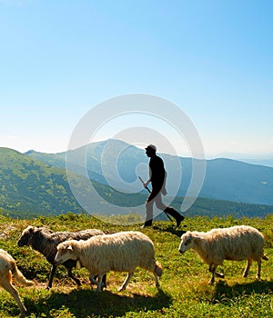 Herdsman in the mountains