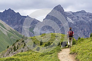 Herdsman with sheepdog in Alps mountains, Livigno Italy