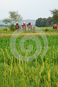 Herdswomen on horse back