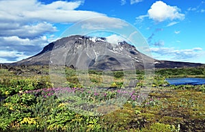 Herdubreid Iceland