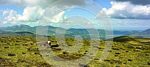 Bassenthwaite from Stybarrow