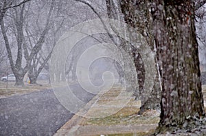 Here comes the snow.