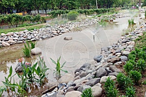 Scenery of ecological wetland and pond.. photo