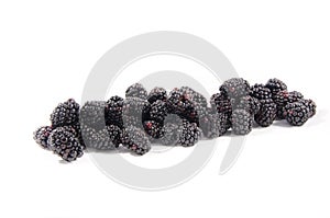 Here is the line of sweet fresh blackberry`s that you don`t cross